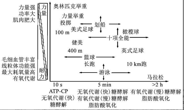 光伏材料中导电材料的电导率如何影响能量转换效率