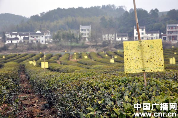 光伏材料在当今社会中的重要性是什么