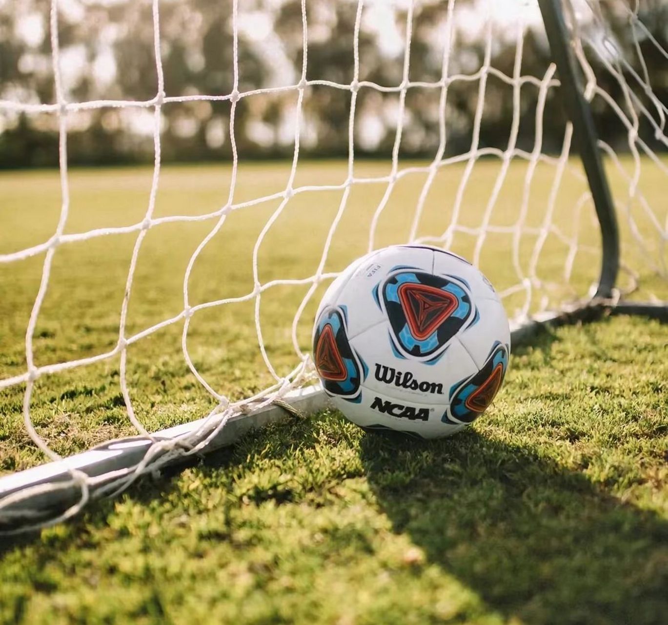 大战在即：尼斯与南特交锋将上演精彩对决